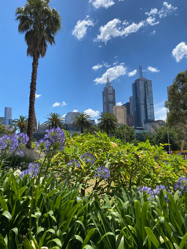 Queen Victoria Gardens with a view of Flinders Street