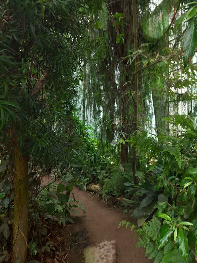 Jardín Botánico