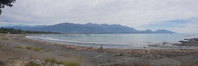 Thirteenth and Fourteenth Stop: Kaikoura and Picton