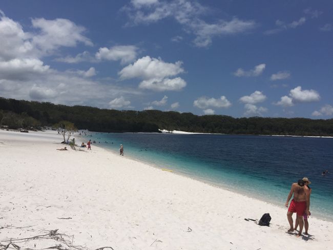 Family time Part 2 and the North Island of New Zealand