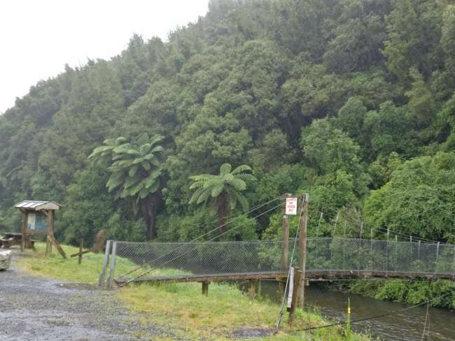 Suspension bridge at the stream in Te Kuiti