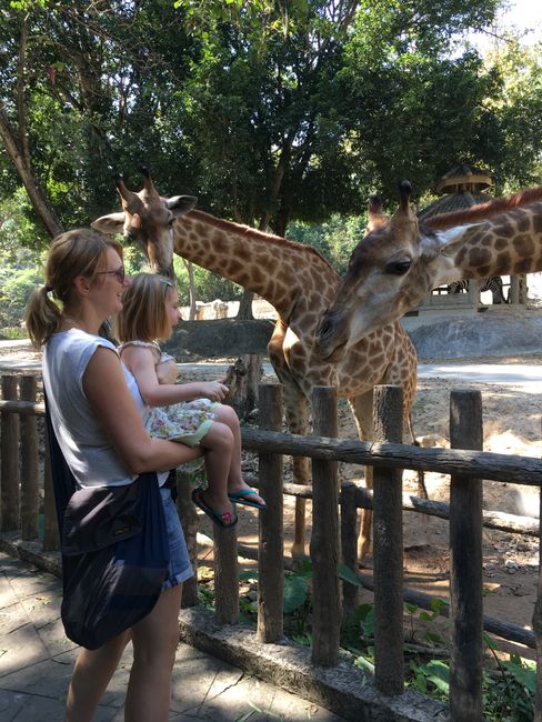 Kultur für Kinder: Ausflug in einen thailändischen Zoo