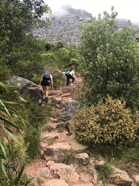 Aufstieg zum Tafelberg