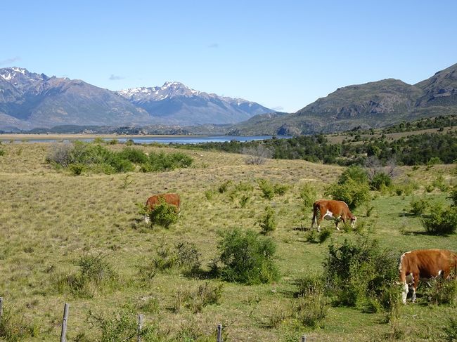 Blog 14 / Argentinische Schweiz und der Patagonia Express " La Trochita" in Esquel / Swiss Argentina & Patagonia Express "La Trochita" in Esquel