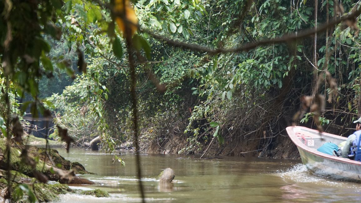 Mit dem Boot durch den Amazonas-Regenwald