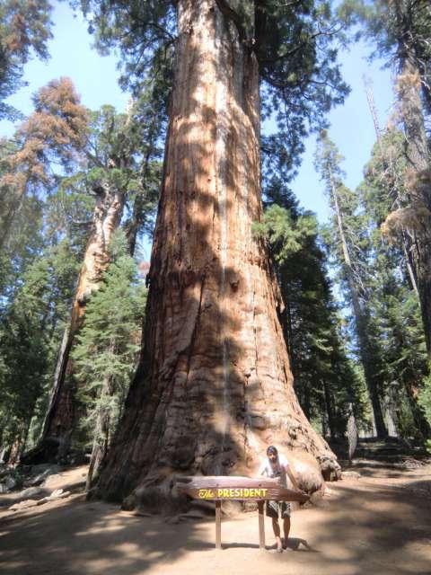 Kings Canyon & Sequoia National Park