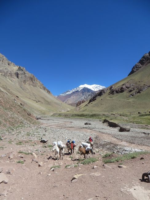 Auf dem höchsten Berg außerhalb des Himalayas... Naja fast