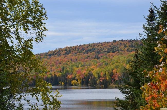 3.10. Mauricie National Park - Play of colors