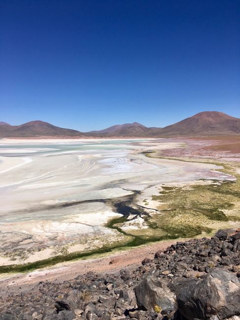 Laguna Aguas Calientes, San Pedro de Atacama