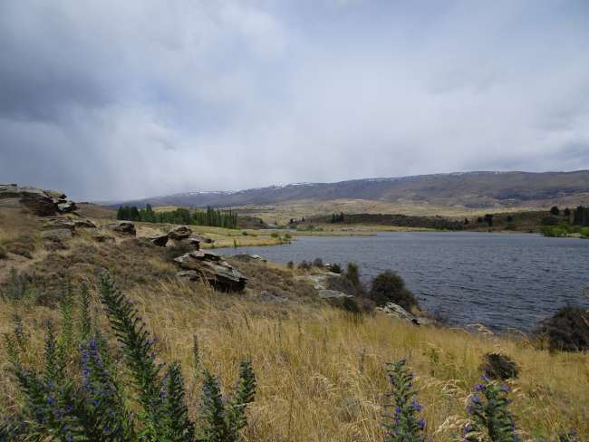 Prärie-Landschaft am Butcher's Dam