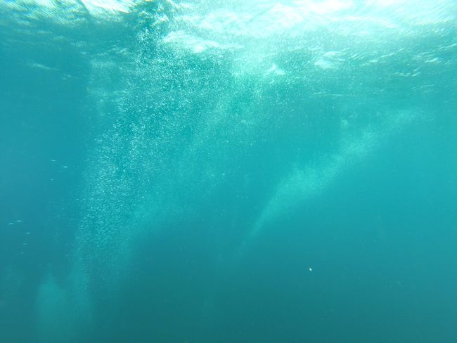 Unterwasserwelt von Malapascua entdecken
