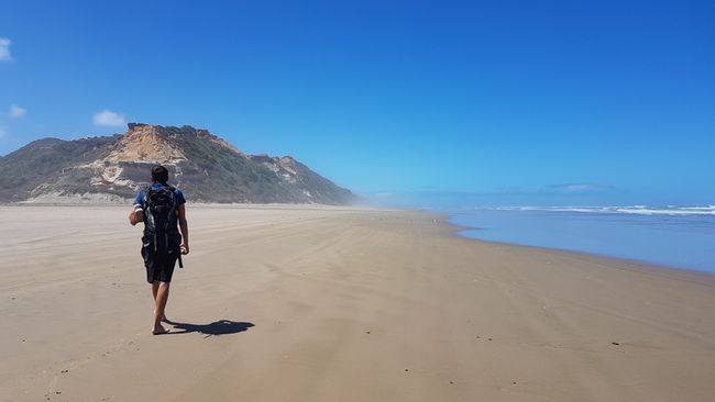 The longest beach in New Zealand - Baylys Beach