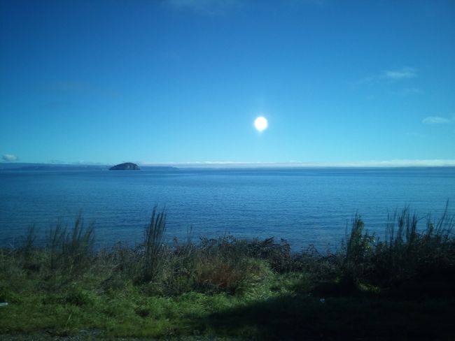 Lake Taupo in the morning