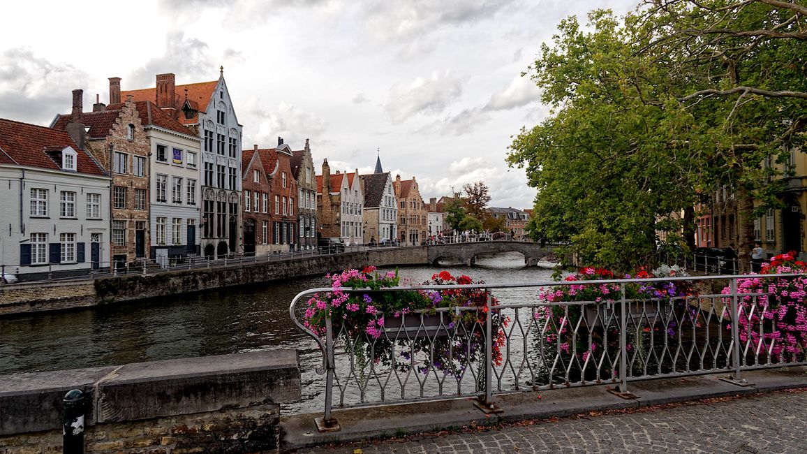 The Bridges of Bruges