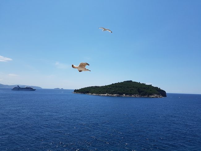 Dubrovnik from the perspective of a free spirit