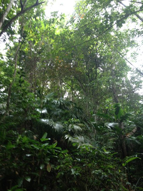 Im Dariendschungel nach Sabzurro 