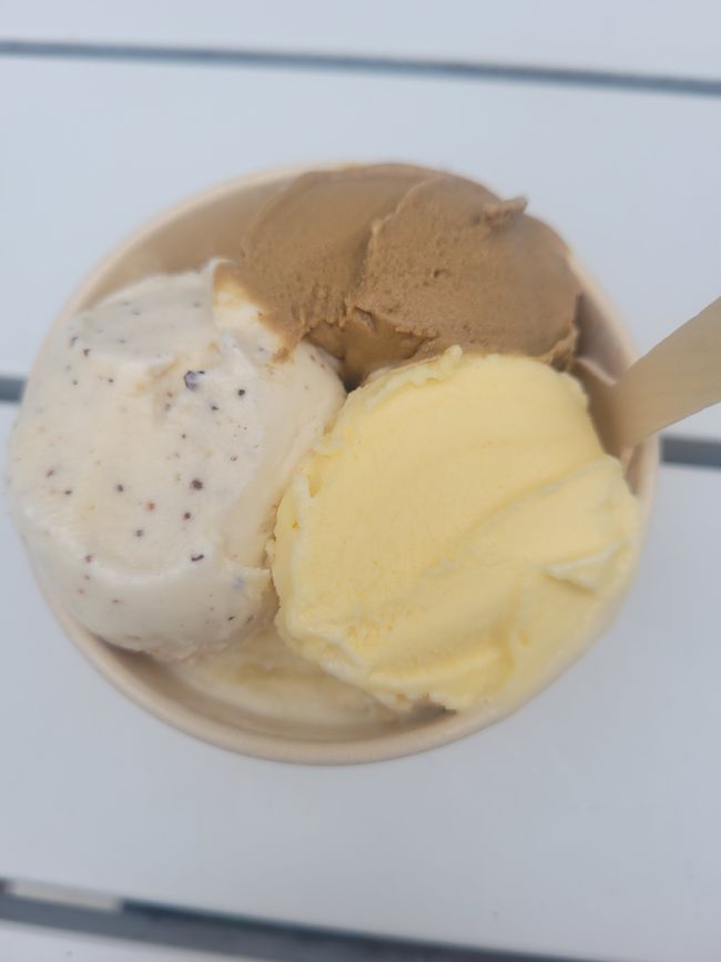 4 scoop ice-cream tasting