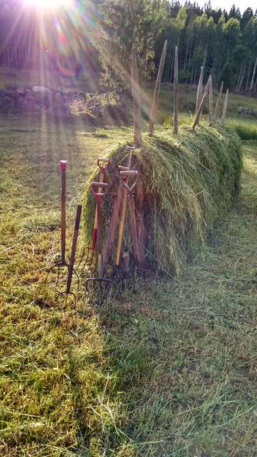Make hay