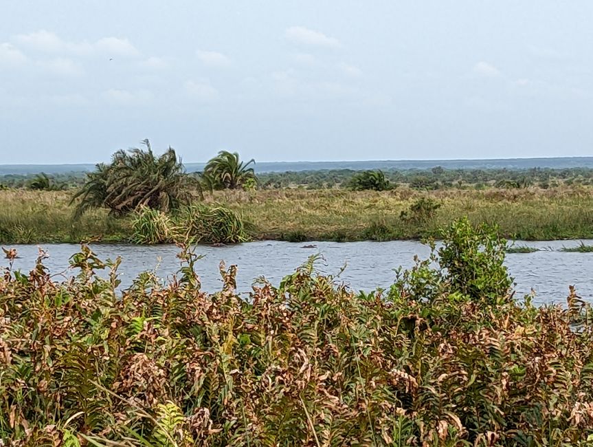 Parc marin d'iSimangaliso
