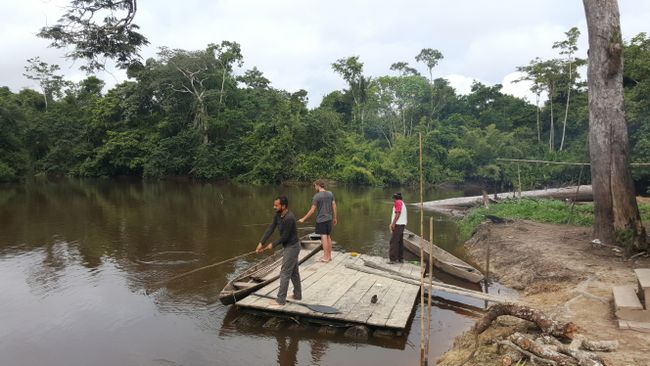 Peru - Pacaya-Samiria NP in the Amazon region