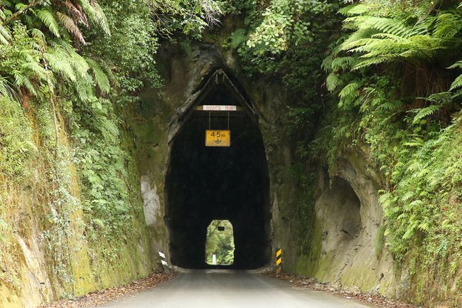 Tag 20 – über den Forgotten World Highway zum Tongariro NP