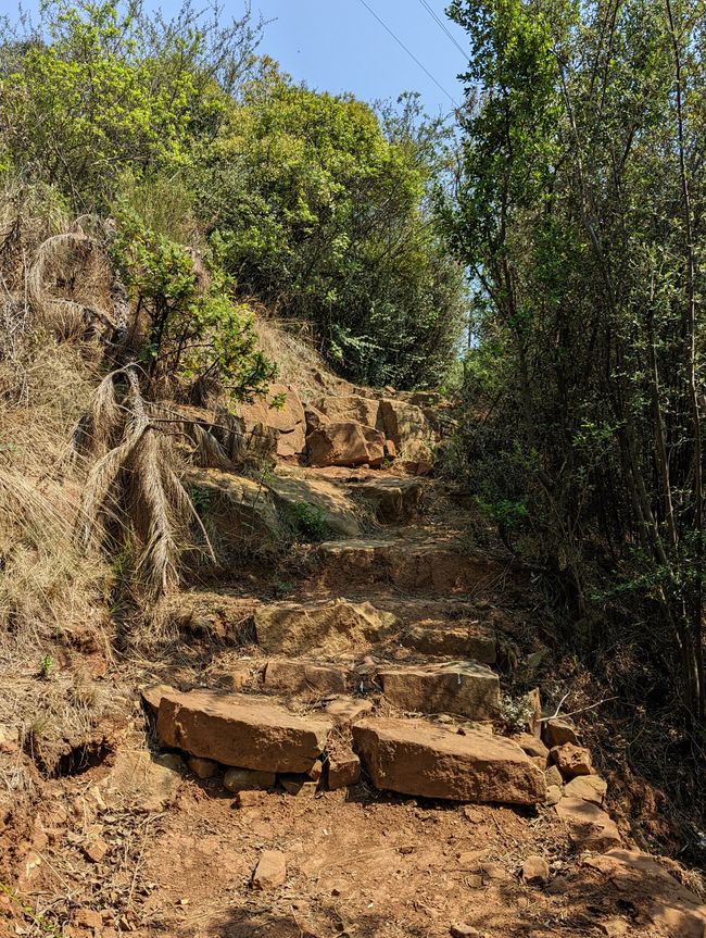 Hiked and Survived in Little Switzerland/Drakensberg
