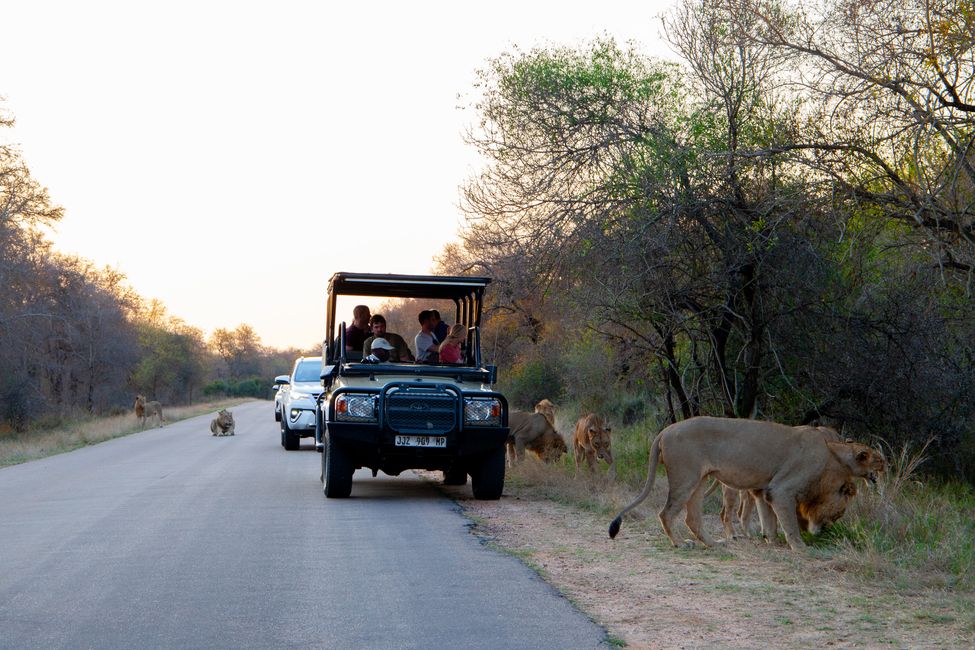 Day 2 (Kruger National Park)