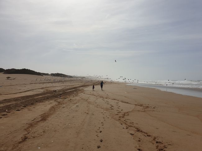 Endless beach walk