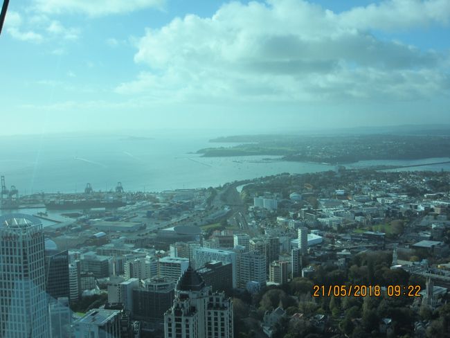Auckland -Tauranga Tag 12-19