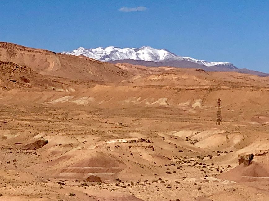 Another contrast: desert and snow-covered mountains.
