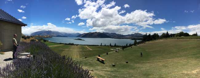 Wine tasting with a fantastic view