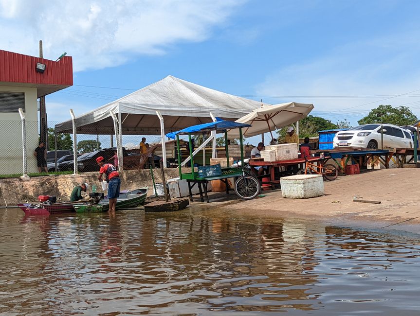 3. Tag im Amazonas-Dschungel