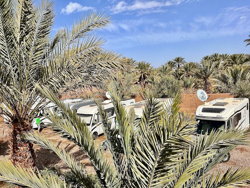 Our pitches surrounded by palm trees. (Photo: Birgit)