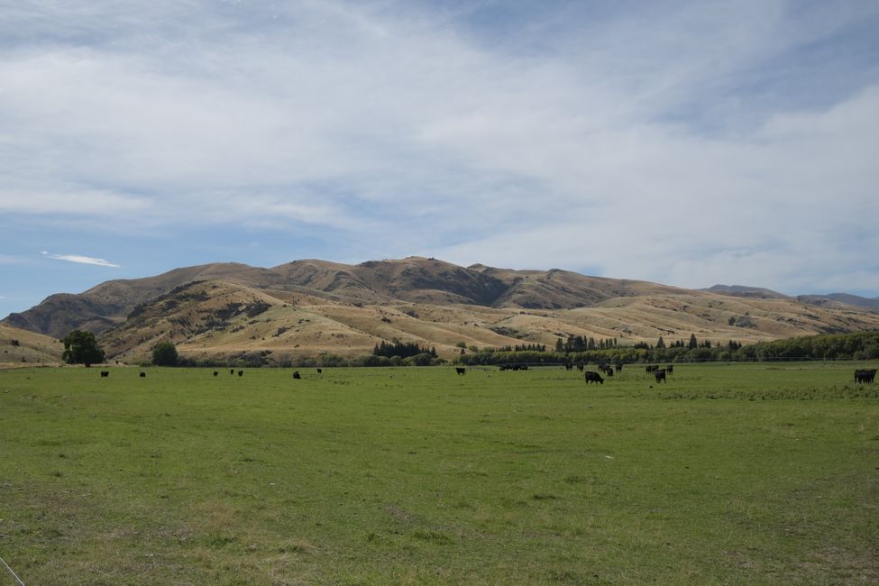 In Central Otago