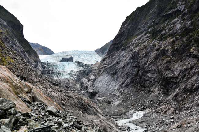 12.03.2017 - Neuseeland, Franz Josef Glacier