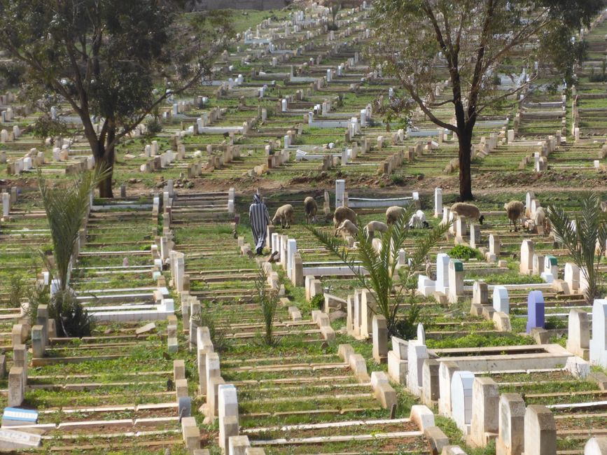 Riesiger Friedhof 