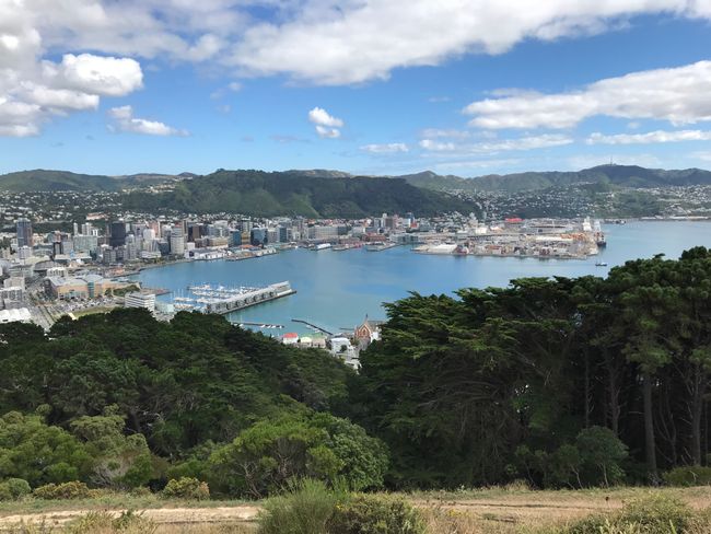 Wellington from Mount Victoria Lookout