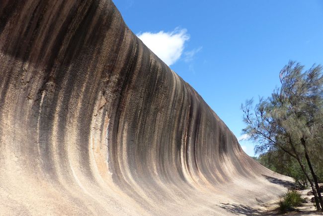 Day 40: Wave Rock - Cape Le Grand National Park (Lucky Bay)