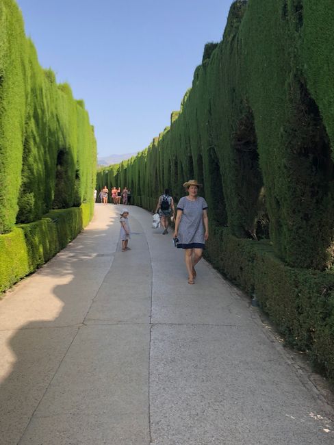 „Auf“ den Bergen :-) und Granada mit der Alhambra