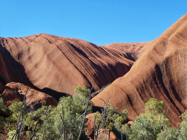 Uluru/Kata Tjuta/Kings Canyon