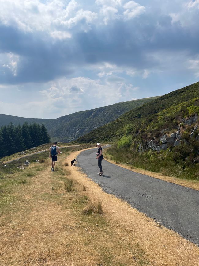 Wicklow Mountains National Park 💚☀️🌿🐑