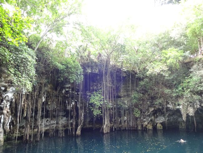 Die Yokdzonot Cenote 