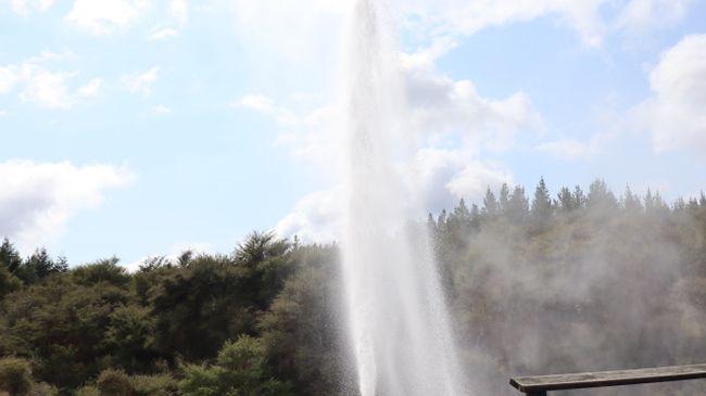 Tag 9 Wai-O-Tapu Thermal Wonderland