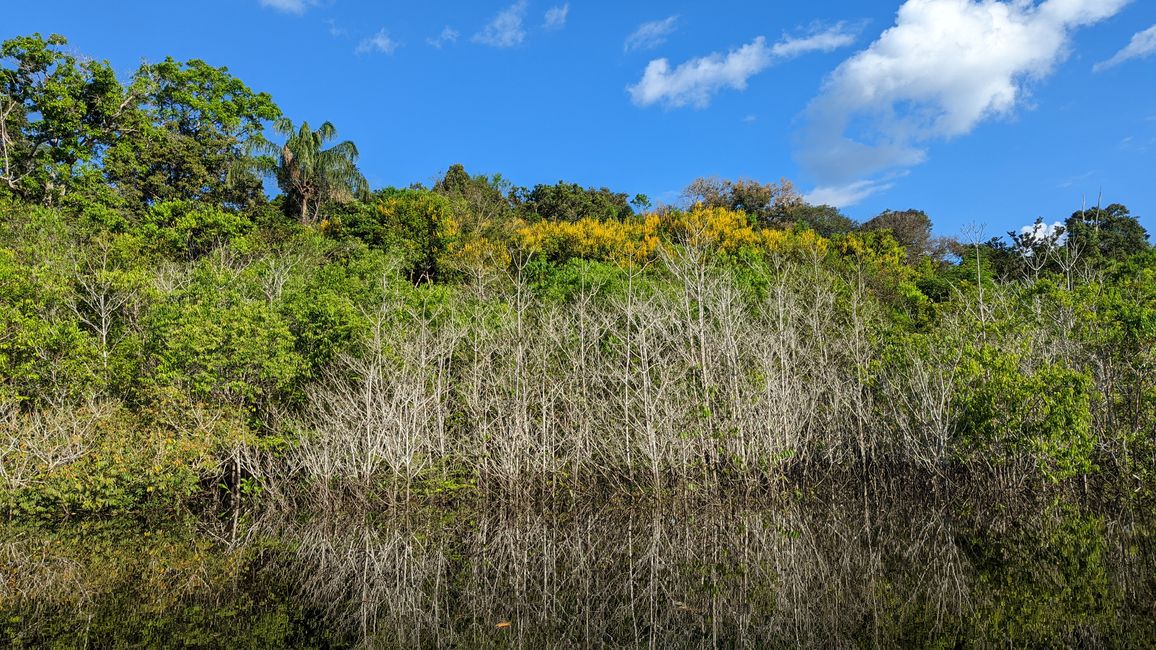1. Tag Amazonas Dschungel
