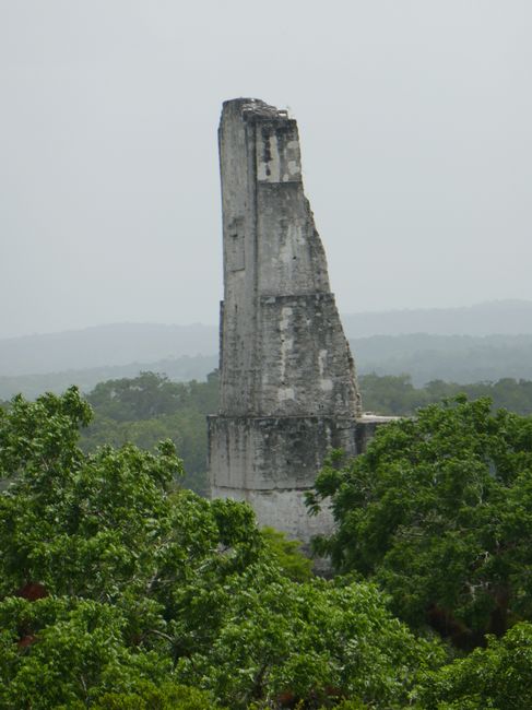 Tikal - Spitze des Templo III