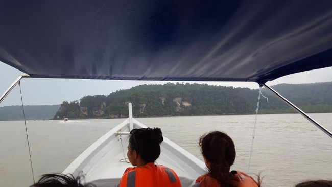 ... mit dem Boot in den Bako Nationalpark und dort die Nasenaffen zu  (be)suchen!