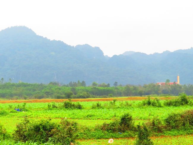 Phong Nha or the lonely weekend