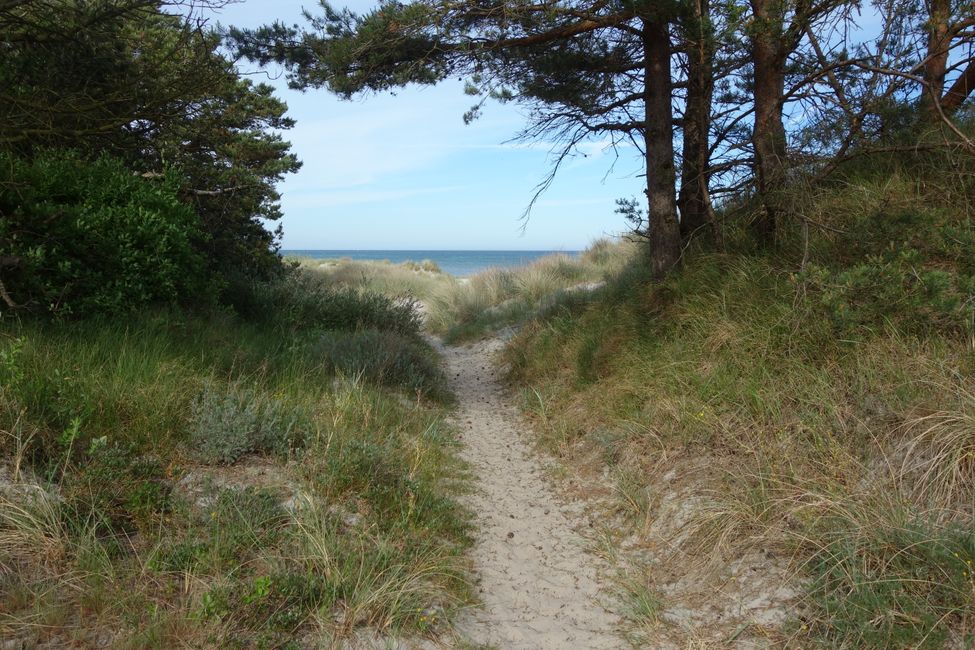 durch die Dünen zum Strand