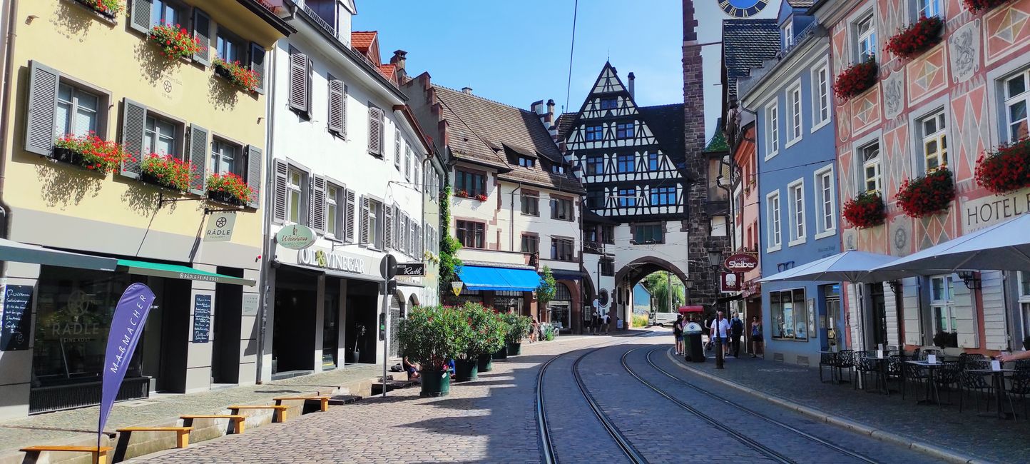 Freiburg នៅ Breisgau
