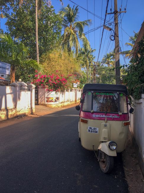 Varkala (Kerala) as the last stop - Goodbye India✌️